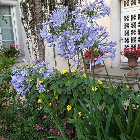 La Belle Vie B&B Montréal Екстериор снимка